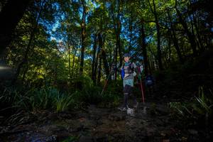 BIB: 
                            <button type="button" onclick="openModal(19240645)" class="btn btn-primary btn-sm float-right btn-popup" data-toggle="modal" data-target=".modal-high-quality">
                        <i class="fas fa-shopping-cart"></i> Add to Cart
                    </button>
                                            <button type="button" onclick="isThisMe(19240645, true)" class="btn btn-success btn-sm float-right btn-popup btn-isme hidden" data-toggle="tooltip" data-placement="bottom" title="นี่คือรูปของคุณใช่ไหม คลิกที่นี่เพื่อเอาเข้าอัลบั้ม">
                        <i class="fas fa-plus"></i> Add to album
                    </button>
                    <button type="button" onclick="isThisMe(19240645, false)" class="btn btn-warning btn-sm float-right btn-popup btn-isnotme hidden">
                        <i class="fas fa-ban"></i> Remove from album
                    </button>